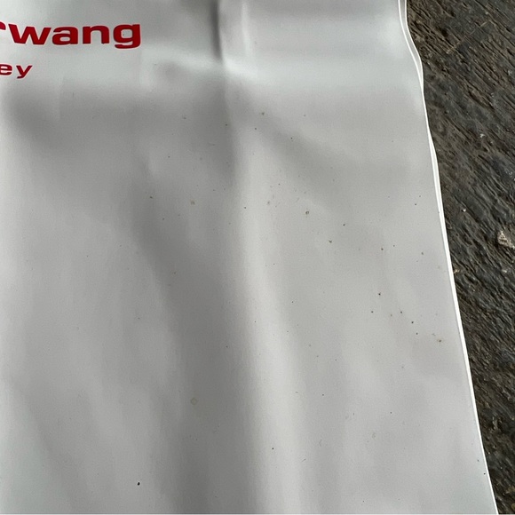 Alexander Wang bag - Picture 6 of 7